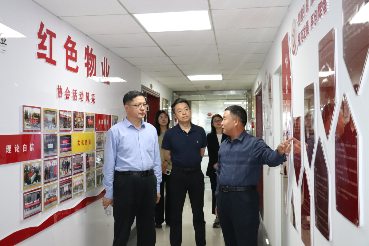图片 1(1)
